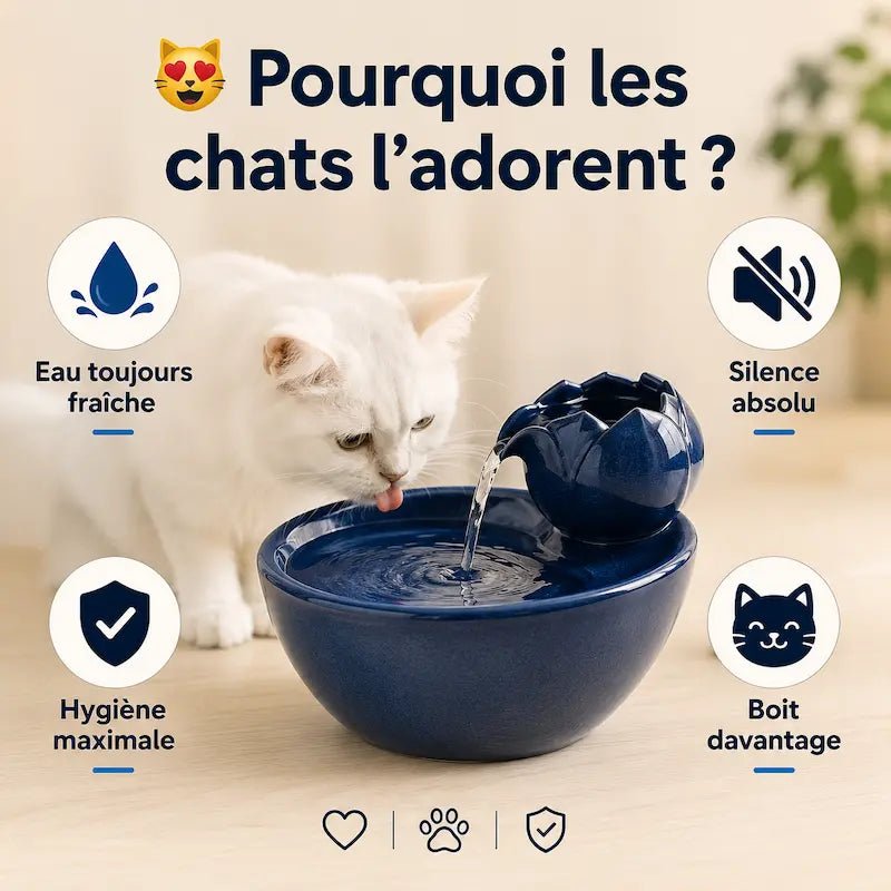 Abreuvoir chat céramique : eau toujours fraîche, silence absolu, hygiène maximale