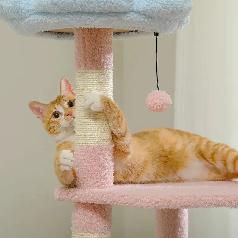 Chat roux qui griffe le poteau en sisal de l'arbre à chat 120 cm Chatizon