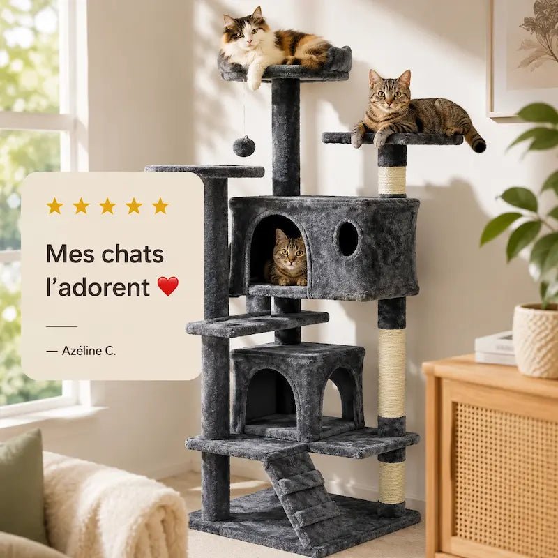 Chats dans la niche et sur les plateformes de l'arbre à chat avec échelle, avis client