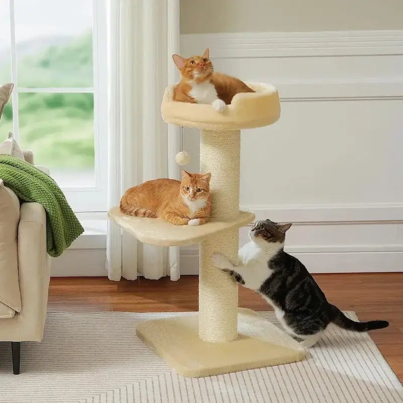 Chats sur l'arbre à chat avec griffoir beige ChatZen, anti-griffes pour le canapé