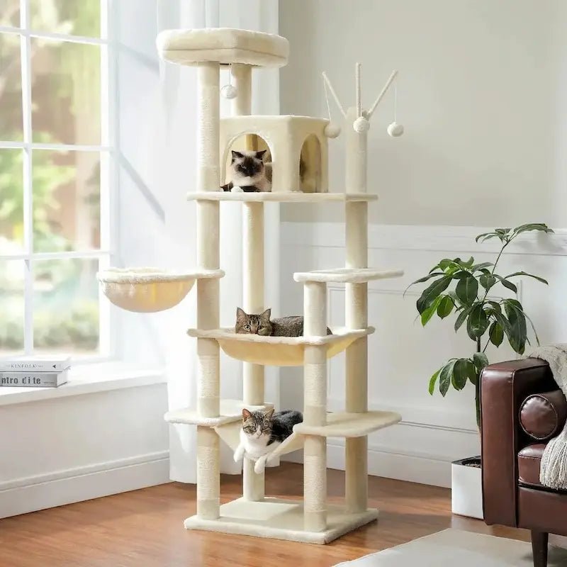 Chats dans les hamacs de l'arbre à chat beige Féliko