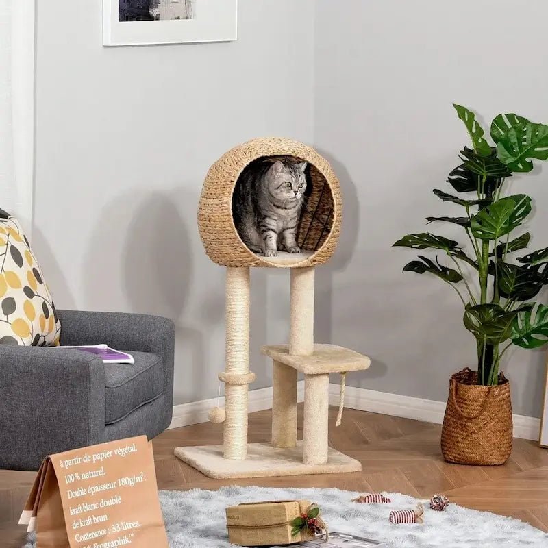 Chat gris dans le panier boule tressé de l'arbre à chat avec panier Félinest