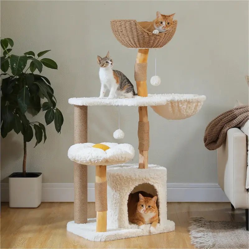 Arbre à chat bois massif avec condo Felys, panier en osier, perchoir fleur et niche en peluche