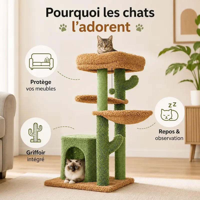 Arbre à chat cactus FeliNest : griffoir intégré, protège vos meubles, repos et observation