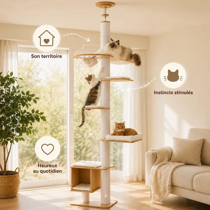 Chats qui grimpent et se reposent sur l'arbre à chat du sol au plafond CatVera