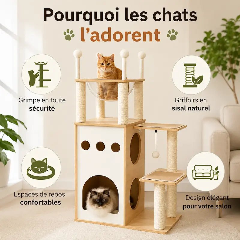Arbre à chat en bois : grimpe en sécurité, griffoirs en sisal, repos confortable, design élégant