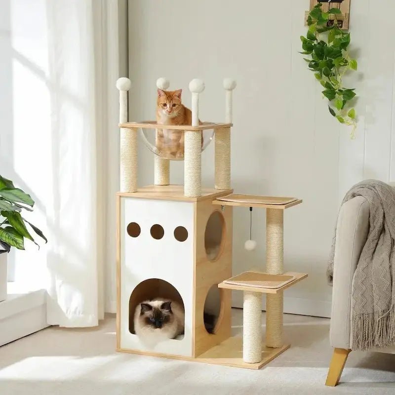 Arbre à chat en bois Felitree avec capsule transparente, niche et chat ragdoll