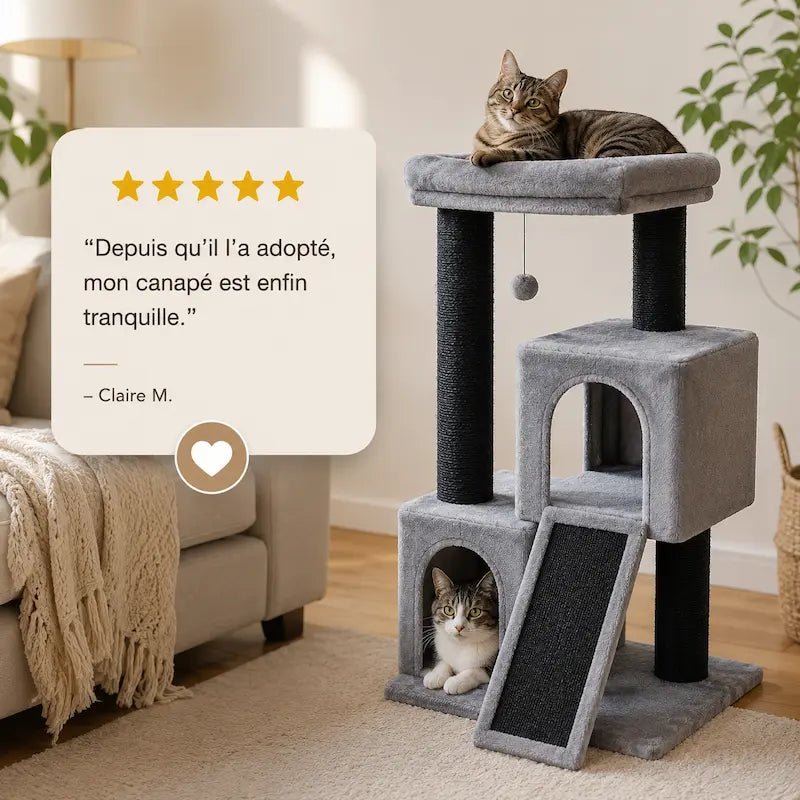 Chats sur l'arbre à chat en sisal Paweco, avis client sur la protection du canapé
