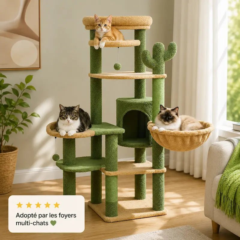 Arbre à chat grande plateforme Chataya adopté par les foyers multi-chats