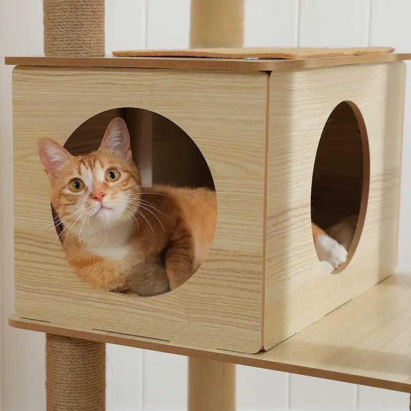 Chat roux dans la niche cubique en bois de l'arbre à chat NatureCat