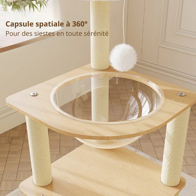 Capsule spatiale transparente à 360° de l'arbre à chat Linea 100