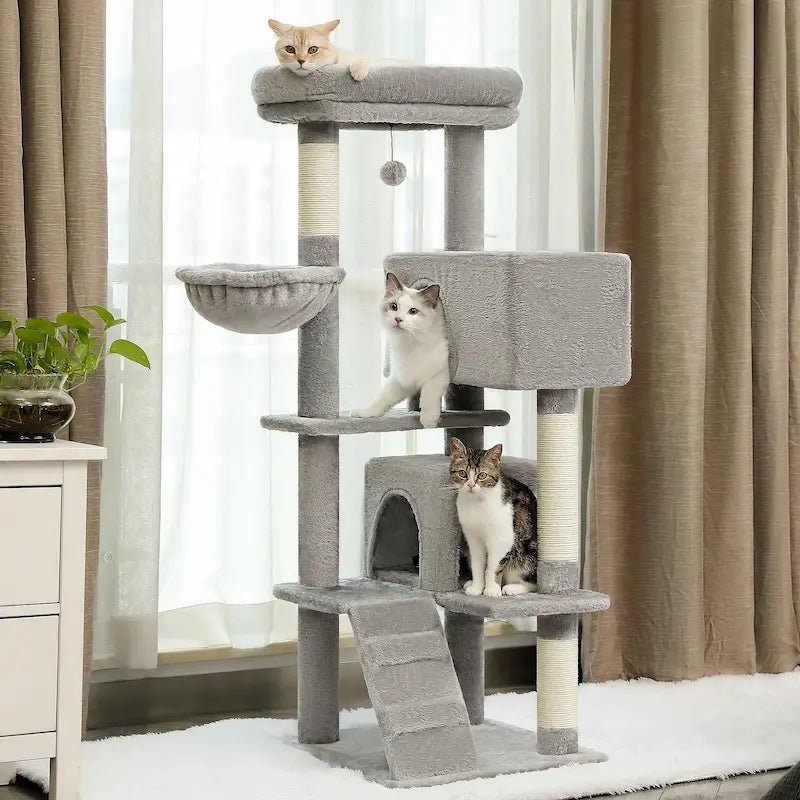 Trois chats sur les niveaux de l'arbre à chat luxe gris RoyalCat