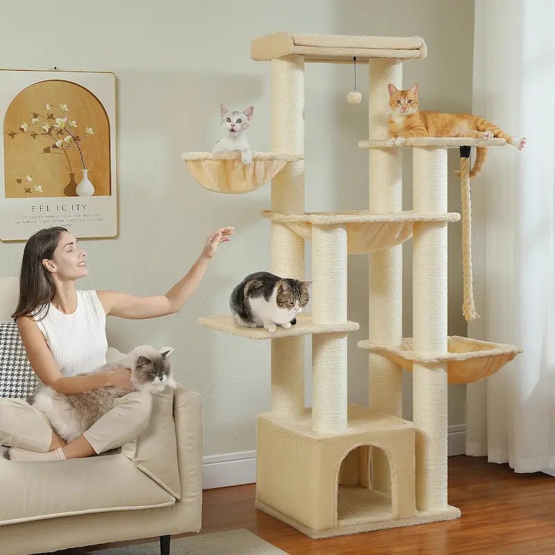 Femme jouant avec ses chats à côté de l'arbre à chat multi plateforme beige CatTower+