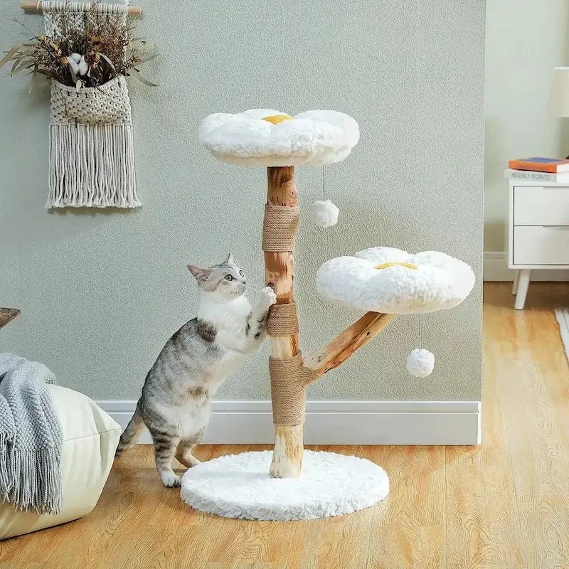 Chat qui griffe le tronc en bois et sisal de l'arbre à chat nuage Miaosoft