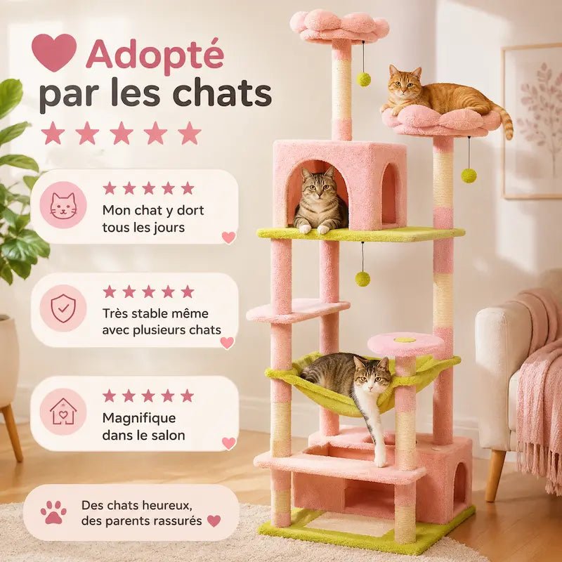 Chats sur l'arbre à chat rose Felirose, avis clients