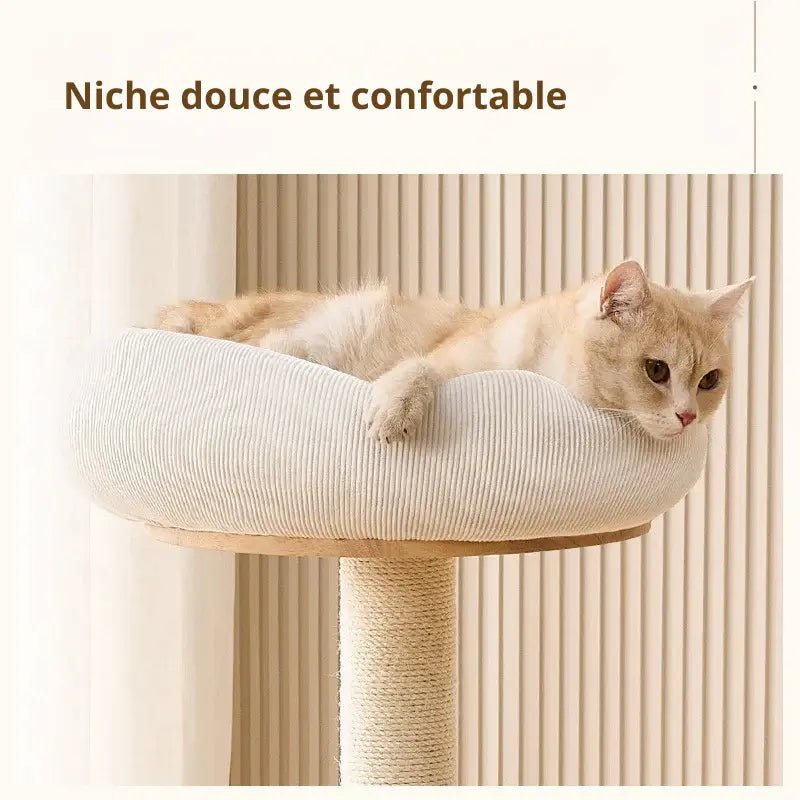 Chat couché dans la niche douce et confortable de l'arbre à chat scandinave