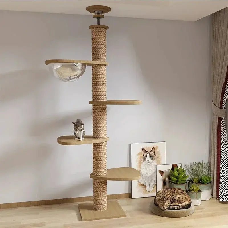 Arbre à chat XXL NativaCat avec capsule transparente et plateformes en bois naturel