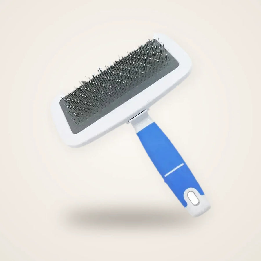 Brosse animaux bleue sur fond neutre