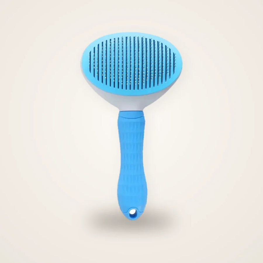 Brosse toilettage chat bleue sur fond neutre