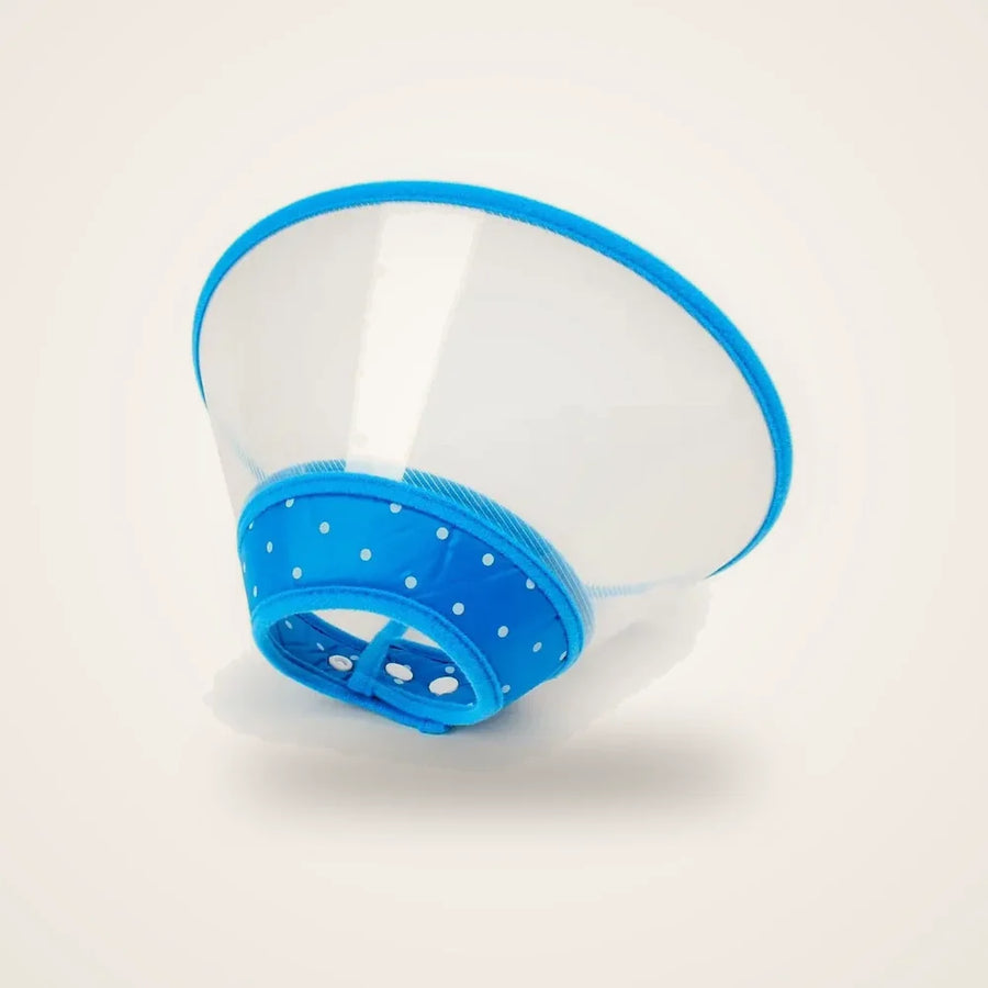 Collerette chat anti-grattage bleue sur fond neutre