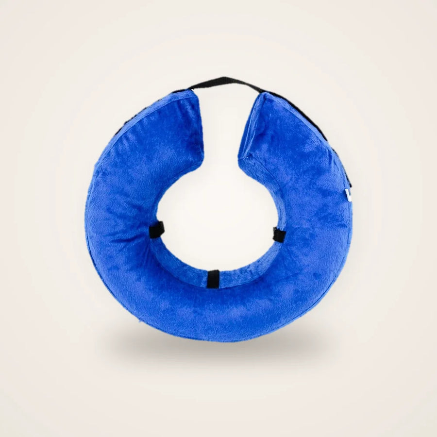 Collerette gonflable pour chat bleue sur fond neutre