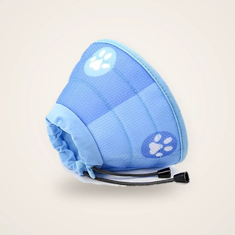 Collier anti-léchage chat bleu sur fond neutre