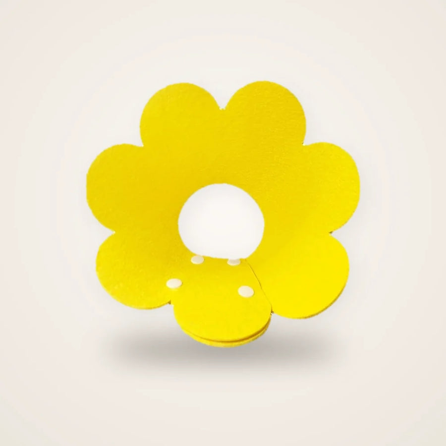 Collier élisabéthain chat jaune sur fond neutre