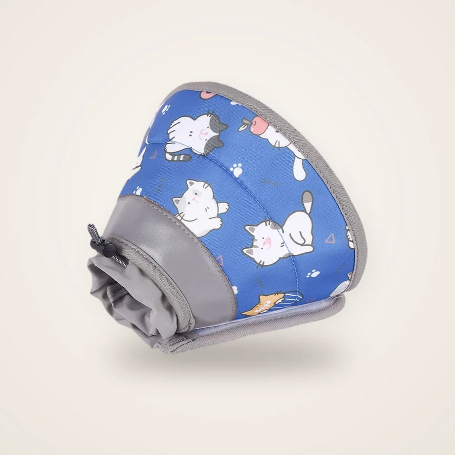 Collier récupération chat bleu sur fond neutre