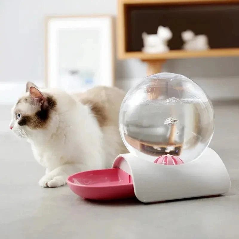 Chat couché à côté du distributeur eau chat PureMiaou avec gamelle rose