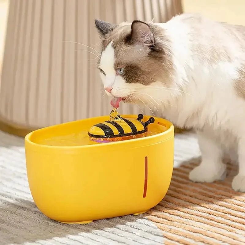 Chat ragdoll qui boit à la fontaine à eau chat abeille BeeFlow jaune
