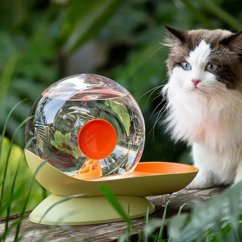 Fontaine à eau chat escargot SnailFlow orange et verte avec chat angora