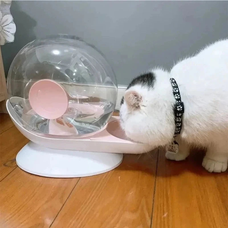 Chat blanc qui boit à la fontaine à eau escargot SnailFlow rose