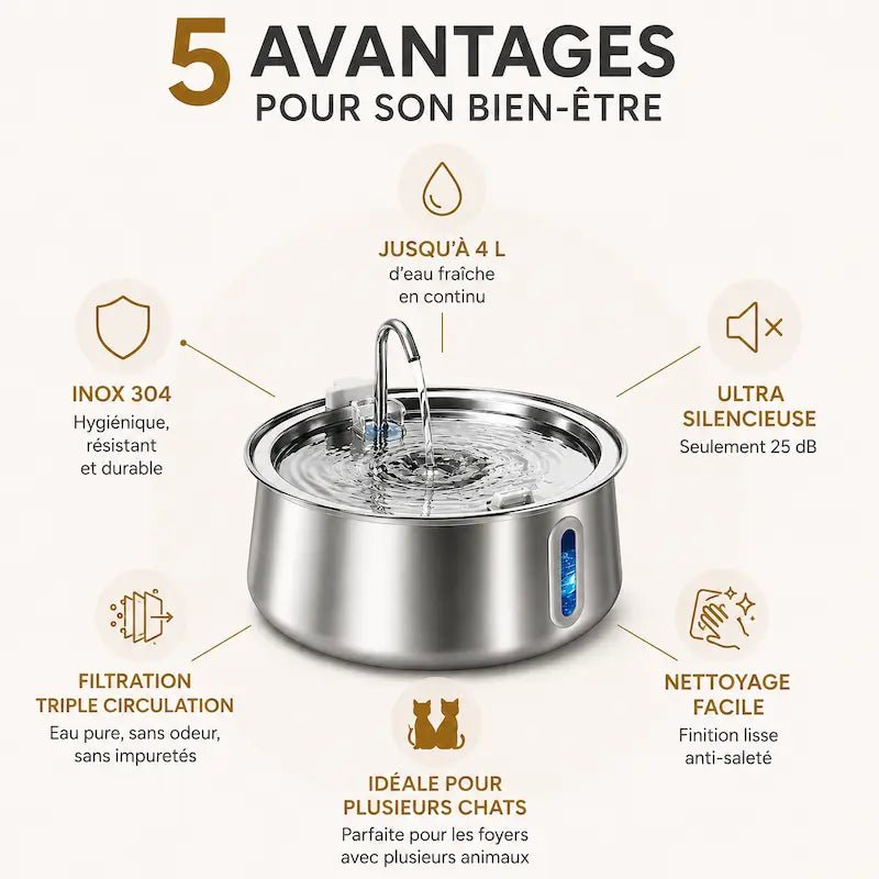 Fontaine à eau chat inox 4L : inox 304, ultra silencieuse, filtration triple, idéale multi-chats