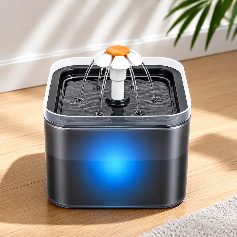 Fontaine à eau chat LED GlowFlow, coloris noir, éclairage bleu