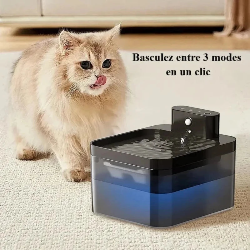 Chat devant la fontaine à eau sans fil FreeFlow, trois modes en un clic