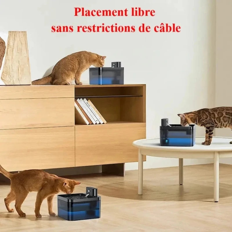 Fontaine à eau chat sans fil FreeFlow placée librement dans le salon, sans câble
