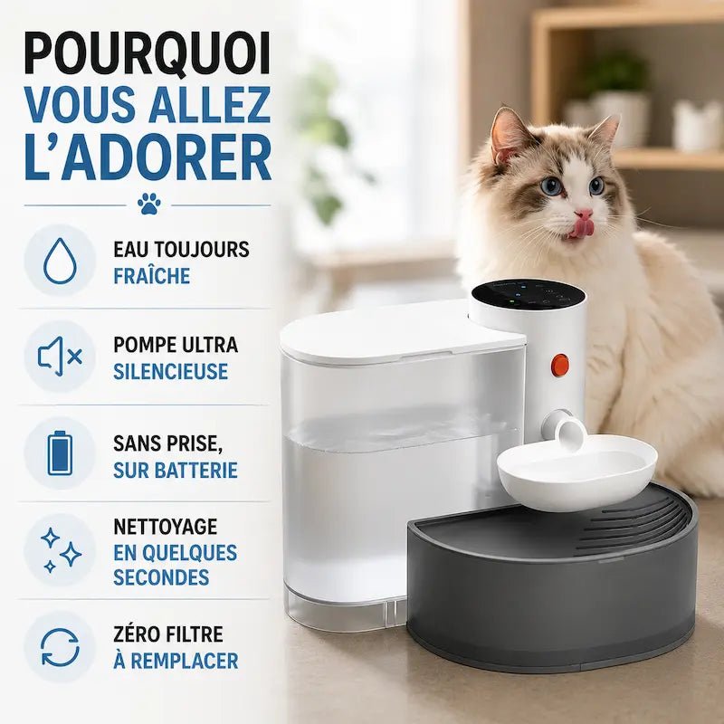 Fontaine à eau chat sans filtre : eau fraîche, pompe silencieuse, sur batterie, zéro filtre