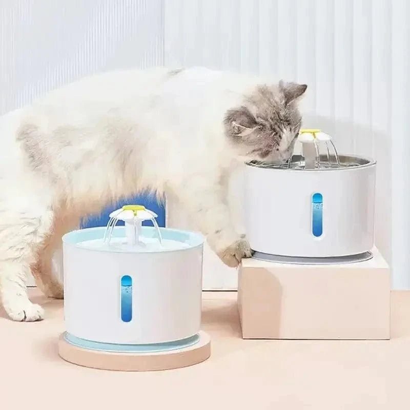 Chat qui boit à la fontaine à eau design fleur inox PetalInox blanche