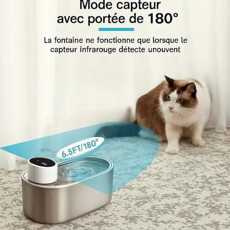 Mode capteur à 180° de la fontaine chat sans fil PurrWave, chat qui s'approche