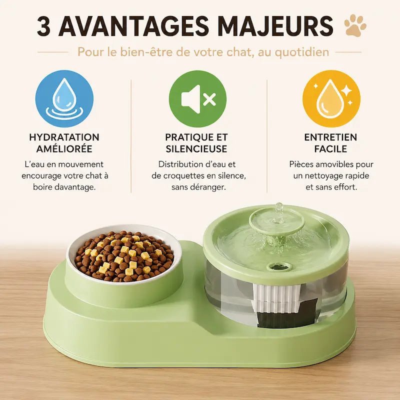 Fontaine eau et croquettes chat : hydratation améliorée, silencieuse, entretien facile