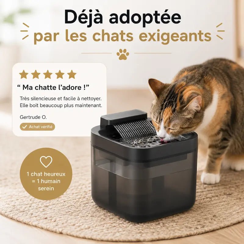 Chat qui boit à la fontaine eau USB 3L FelicityFlow, avis client