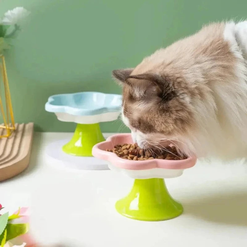 Gamelle chaton - Antidérapante en céramique