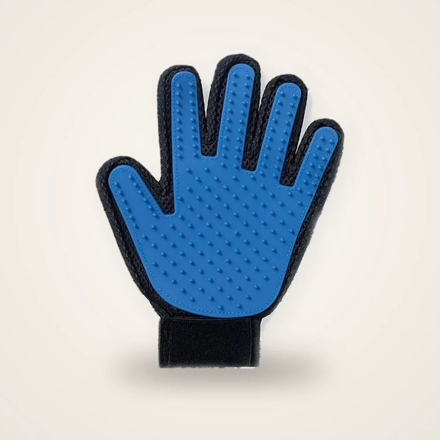 Gant de toilettage chat bleu sur fond neutre