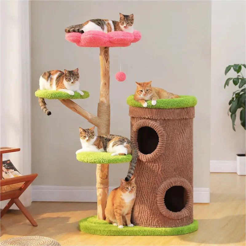 Cinq chats installés sur les plateformes du grand arbre à chat RoyalTree