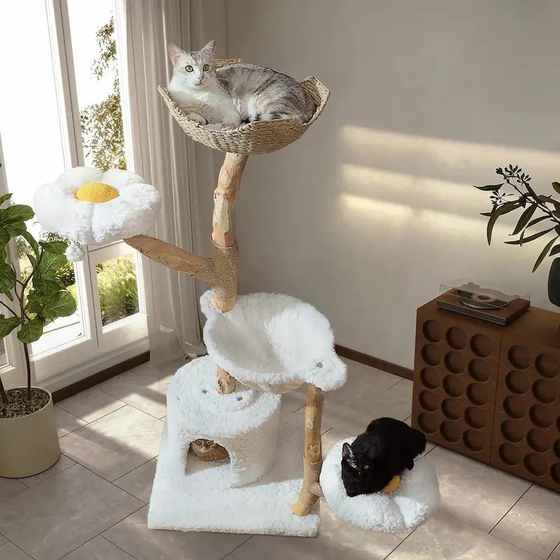 Chats sur le panier en osier et le perchoir fleur de la grande tour arbre à chat BloomCat