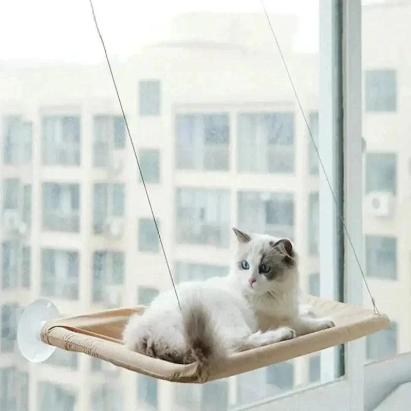 Hamac de fenêtre pour chat - Vue extérieure | WindowCat