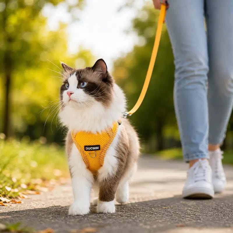 Harnais en nylon pour chat - Sécurité & confort | Duomm